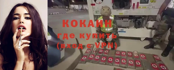 ALPHA PVP Заводоуковск