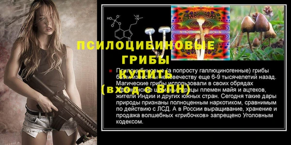 ALPHA PVP Заводоуковск