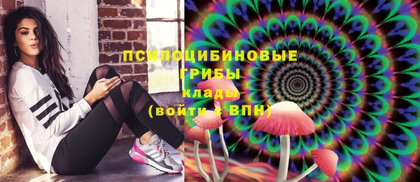 ALPHA PVP Заводоуковск