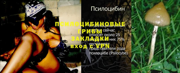 ALPHA PVP Заводоуковск