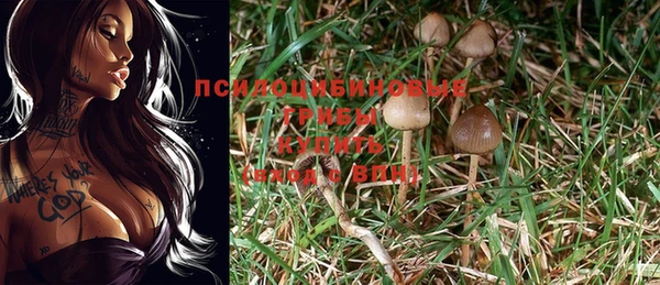 бошки Заволжск