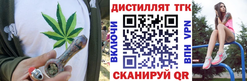 Купить где  Короча  ТГК концентрат 