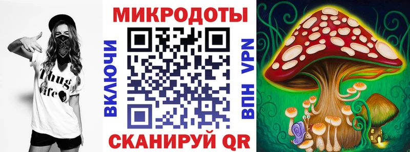 Купить  Короча  Галлюциногенные грибы GOLDEN TEACHER 